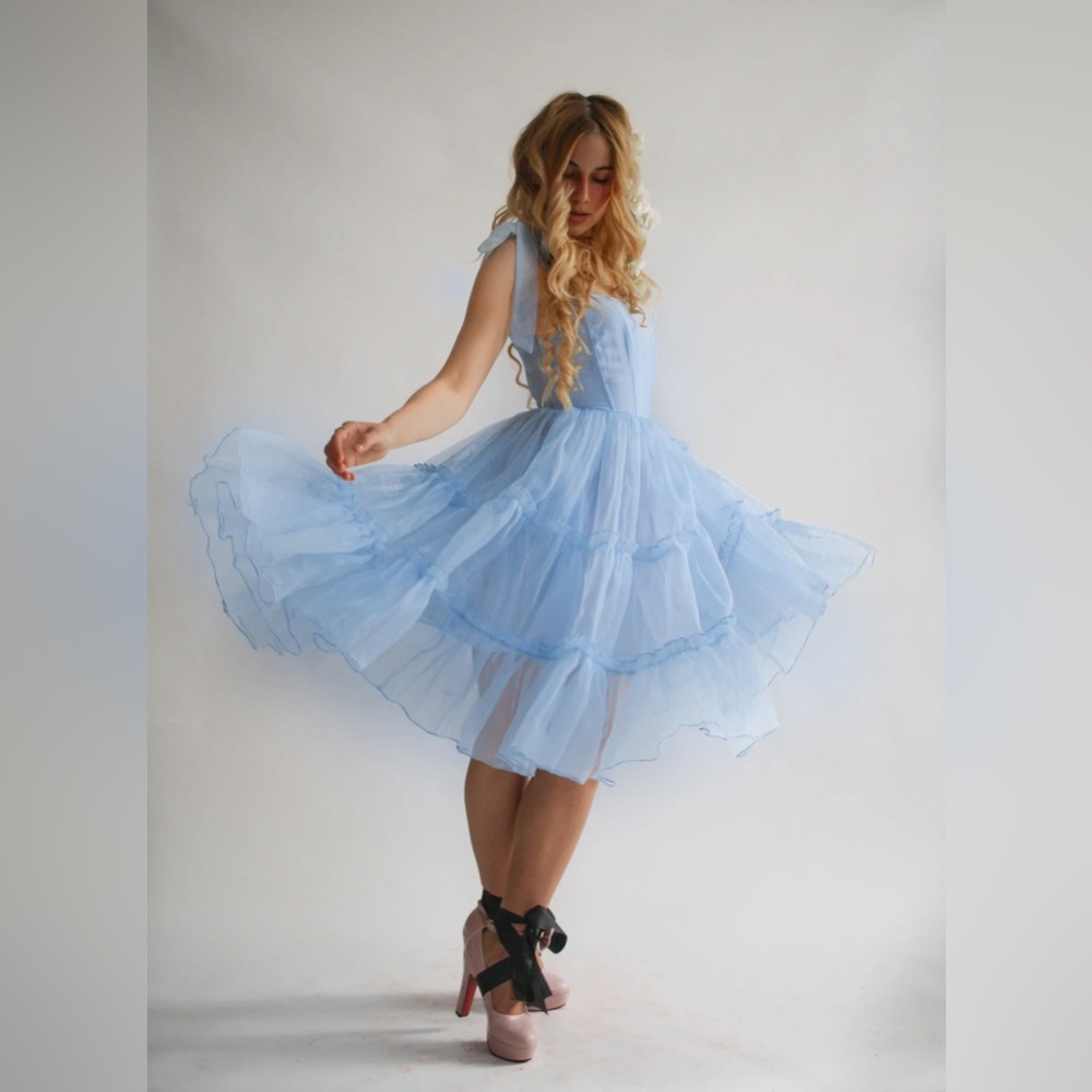 Wild Rose & Sparrow Siena Dress Blue Corset Tulle Mini L NWT Fairy - Picture 7 of 16